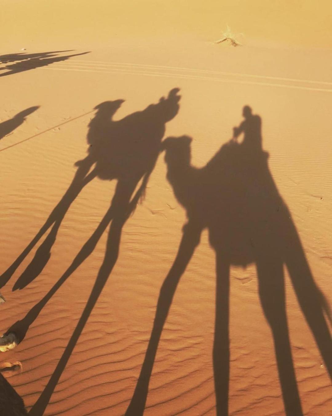 Desert Lover'S Luxury Camp مرزوكة المظهر الخارجي الصورة